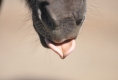 fabienne_9