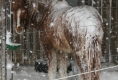 Wintereinbruch im Februar 2012