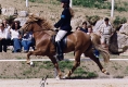 Blivar von Birkenlund  auf der Mitteleuropäischen Meisterschaft 2002 2. Platz im A-Finale Fünfgangpreis: 6,98 Punkte 3. Platz in der Gesamtwertung