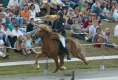 Silvia und Blivar auf der Deutschen Meisterschaft 2006 (Foto: Daniela Kaminski)