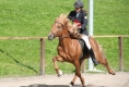 Silber für Silvia und Blivar im Fünfgang bei der mitteleuropäischen Meisterschaft 2006  (Fotos © 2006 by www.wiedenhof.com)