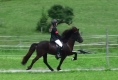 Silvia mit Heljar frá Stóra-Hofi beim Turnier in der Schweiz, 2010