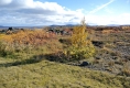 DSC_4102.jpg