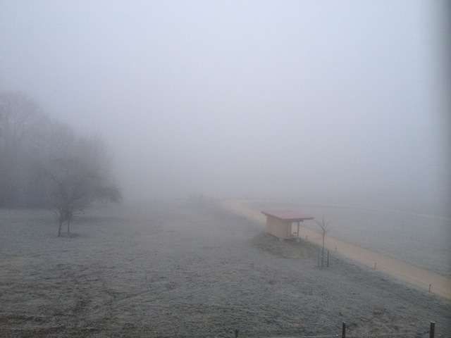 Nebel Anfang März