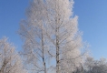 Hafnersholt im tiefen Winter