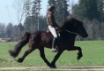 Vonarneisti frá Lynghaga und Silvia beim Training, März 2011