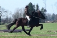 Vonarneisti frá Lynghaga und Silvia beim Training, März 2011