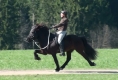 Vonarneisti frá Lynghaga und Silvia beim Training, März 2011