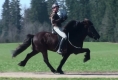 Vonarneisti frá Lynghaga und Silvia beim Training, März 2011