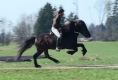 Vonarneisti frá Lynghaga und Silvia beim Training, März 2011
