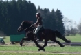 Vonarneisti frá Lynghaga und Silvia beim Training, März 2011
