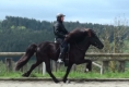 Silvia beim Training mit Vonarneisti frá Lynghaga, Mai 2011  (Besitzer: Agata Maček)