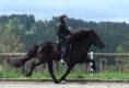 Silvia beim Training mit Vonarneisti frá Lynghaga, Mai 2011  (Besitzer: Agata Maček)