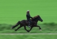 Silvia beim Training mit Vonarneisti frá Lynghaga, Mai 2011  (Besitzer: Agata Maček)
