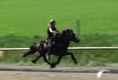 Silvia beim Training mit Vonarneisti frá Lynghaga, Mai 2011 (Besitzer: Agata Maček)