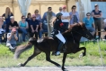 WM Qualifikationsturnier in der Schweiz / Hombrechtikon, 2011 (Foto: Ursula Brun)