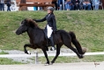 Vonarneisti frá Lynghaga, WM Sichtung Wehrheim 2011 Foto: Ulrich Neddens