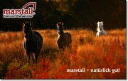 marstall_natuerlich_gut